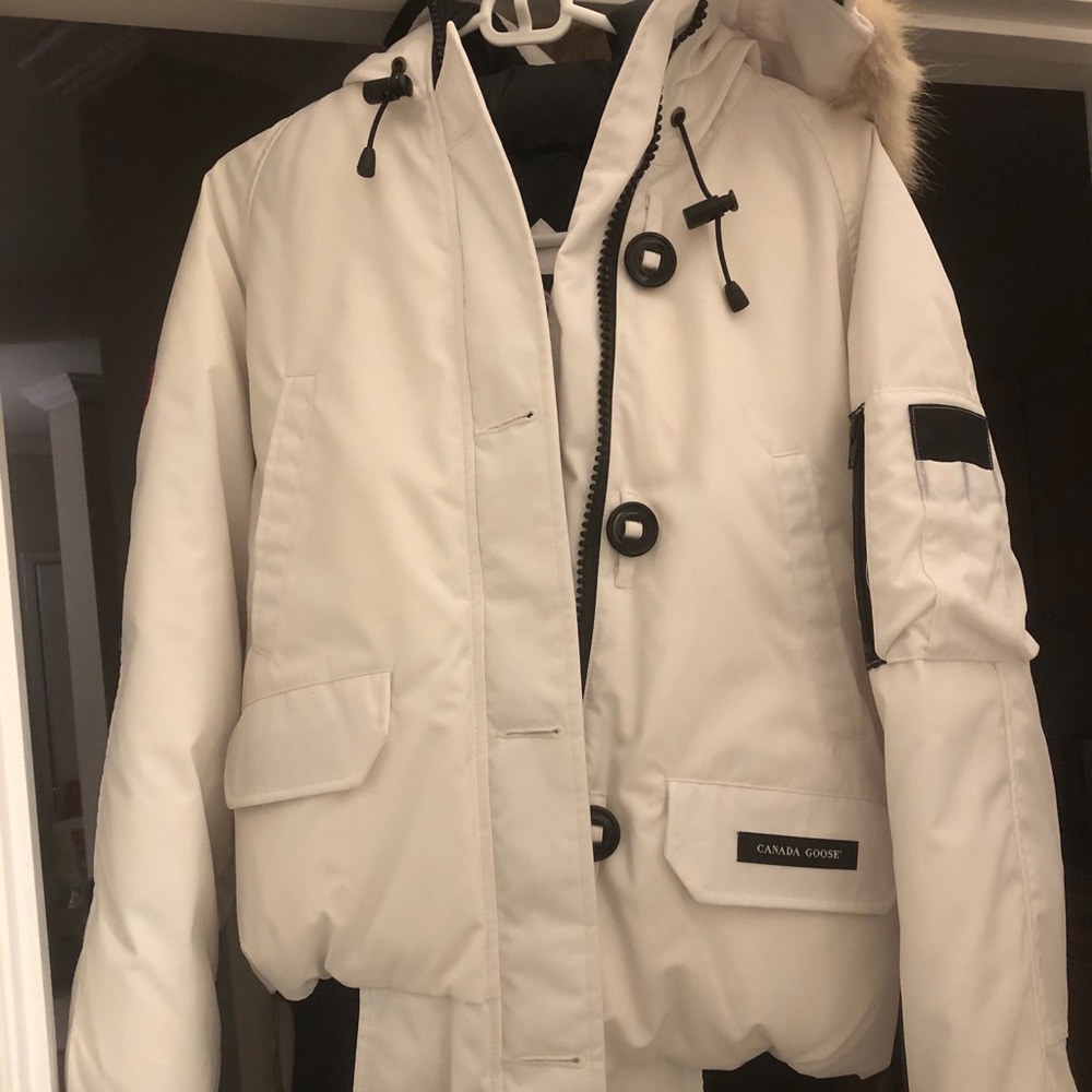 White Canada Goose
